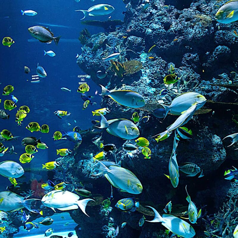 Kid-Approved Activities in Malta - STHotels, Sliema, Malta.